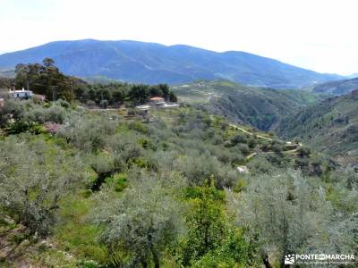 Alpujarra Granadina-Viaje Semana Santa;nacimiento del cuervo madrid en el puente de diciembre sender